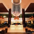 더자인 Daum카페