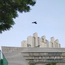 주원장한의원 이미지