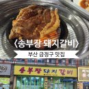 <금정구> 부산 금정구 돼지갈비 맛집 송부장돼지갈비