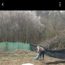 김영복농장 이미지