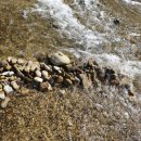 칠봉 화장실 이미지