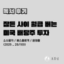 현금흐름을 위한 또 하나의 방법, 잠든 사이 월급 버는 미국 배당주 투자