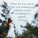 Every single moment 이미지