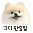 11500-12-28-111 | 고양시 대형카페 물구리빵집｜통창 햇살뷰+주차 넉넉한 베이커리 (애견동반 2/28 종료 공지)