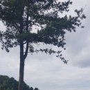 더원행정사사무소 이미지