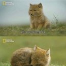 오월은 푸르구나