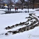덴버