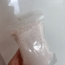 전지현 입시학원 | 나 이제 21살[12/13-1/6]