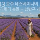 세계로관광농원 Daum카페