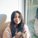 소설가 이미지