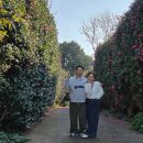 호근동마을회관 | 서귀포 호근동 동백길 동백꽃 무료스팟 1월 다녀온 후기