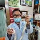 분당에덴동물병원 이미지