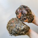 4월28일.미더덕,오만둥이,활독도꽃새우,밀복,참멍게,생연어,조개(키.우럭,코끼리),가리비,흑산홍어,풍천장어,홍게,뿔소라,오징어알 이미지