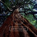 아로마와 색채심리 이미지