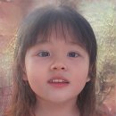 11545-12-25-21 | 25년 9월 일상로그 : 26년 12월의 신부