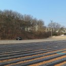 정안면사무소2 이미지