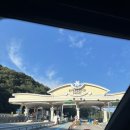용인 호암미술관(HOAM)/전통 정원 희원 산책코스_김환기 회고전 후기_서울 근교 데이트 추천/포토존 리뷰