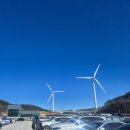 돌풍목장 | 선자령가는법 주차 등산 백패킹 극동계 돌풍박 리뷰