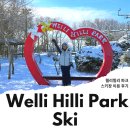 둔내유스호스텔 | 웰리힐리파크 렌탈샵 스키장 리프트권 할인 정리