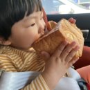 베베하모니 이미지