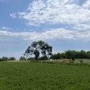 초원사우나 앞 이미지