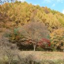 비룡민박 이미지