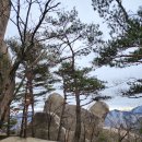 2월 대야산 등산