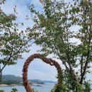 선우 행정사 이미지