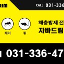 자바드림 이미지