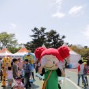 제주13月 이미지