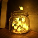 파인트리비 이미지