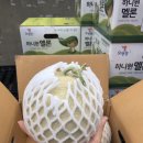 못골청과 네이버블로그