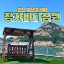 장자1길 | 군산오션뷰카페 장자바다정원카페 루프탑 오션뷰와 정원의 힐링