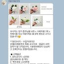 W12] 아뜰리에윤 : 가성비 고퀄리티 본식 부케 계약 후기