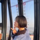 화성로, 전곡항로 이미지