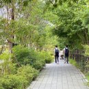 서울세륜초등학교 이미지
