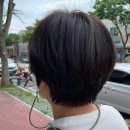 쑥쌀롱