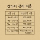 천연장례서비스 | 대구동물장례식장 이용가이드｜반려견 장례 후기 작별이 아닌 감사로 마무리한 시간
