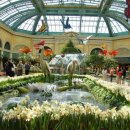 벨라지오호텔 이미지