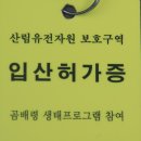 천상의 화원 곰배령 - 1,164m 고원에 펼쳐진 야생화 천국 이미지