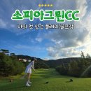 그린 | 나의 첫 샷건 방식 플레이 골프장 소피아그린CC 후기