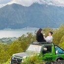 코코농장 1 이미지