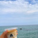 바우인테리어 - 15918 | 강릉카페 추천 ｜바우커피 본점 솔직후기☕ ｜ 강릉 흑임자커피｜툇마루커피vs바우커피 차이점(+주차...