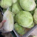 (주) 알지멀티 | [대학원 일상] 힘이 빠져도 걸어야 한다🐌