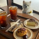 범어동물병원 | 대구 범어동 디저트카페 코즈 범어 반려견동반후기