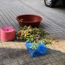 라쑤쑤 이미지