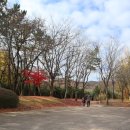 인천대공원(다목적광장) 이미지