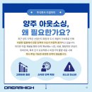 양주인력개발 티스토리