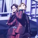 안녕강아지야 이미지