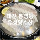 유성왕수산 이미지